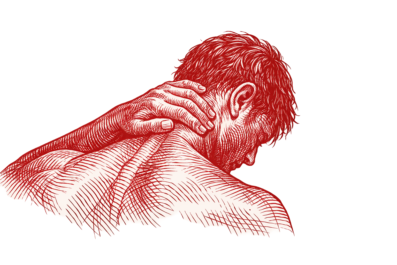 A detailed engraving of a man's neck and back in deep red.